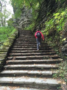 You can get quite a work out walking through here.