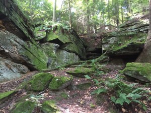 Ledges trail