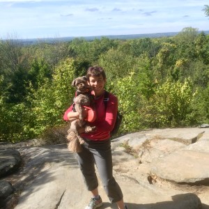 The lookout on the ledges trail