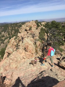 Final edgy stretch across Horse Tooth Mountain