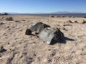 Obsidian on the "beach" near Obsidian Butte
