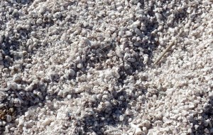 A closer look at the beach reveals it is not sand