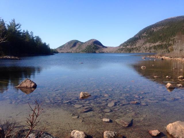 11209615_10205643196974725_4403707910496561216_n