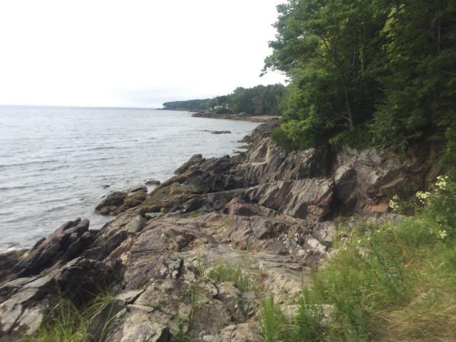 14100469_1782819385270230_3191488938310009398_n