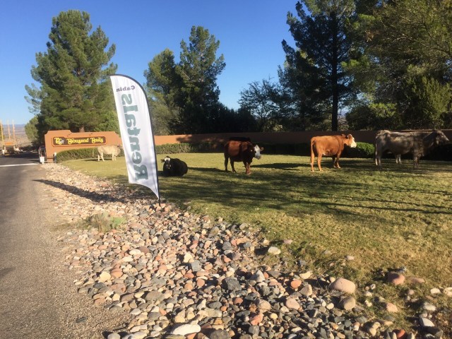 Cottonwood / AZ / United States - 11/13/16