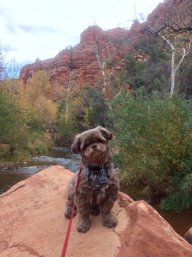 Sedona / AZ / United States - 11/16/16