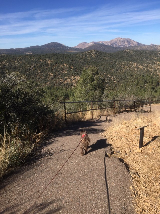 Prescott / AZ / United States - 11/23/16