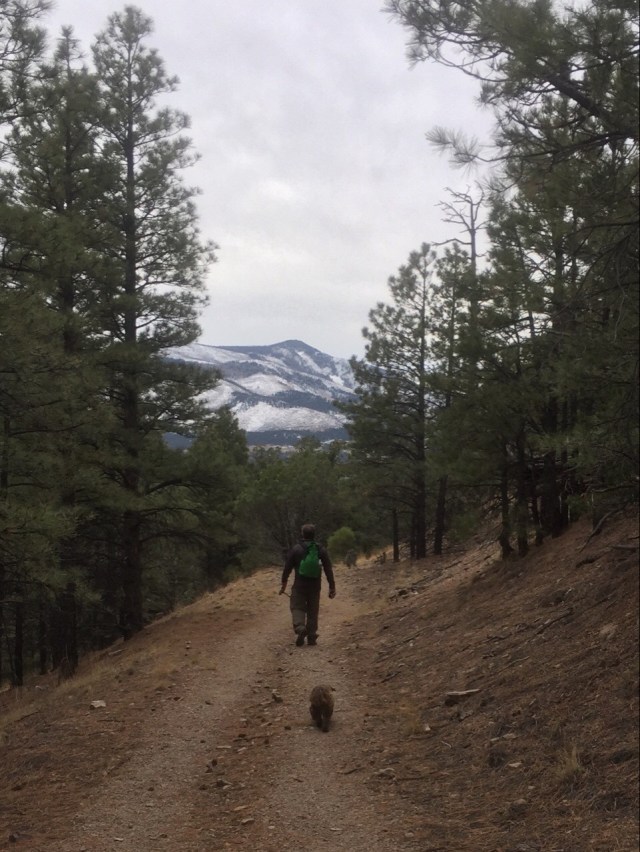 Flagstaff / AZ / United States - 11/26/16