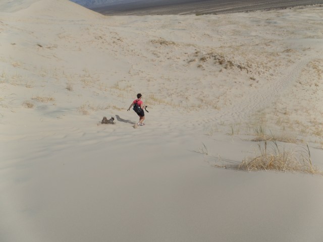 SAMSUNG CAMERA PICTURES